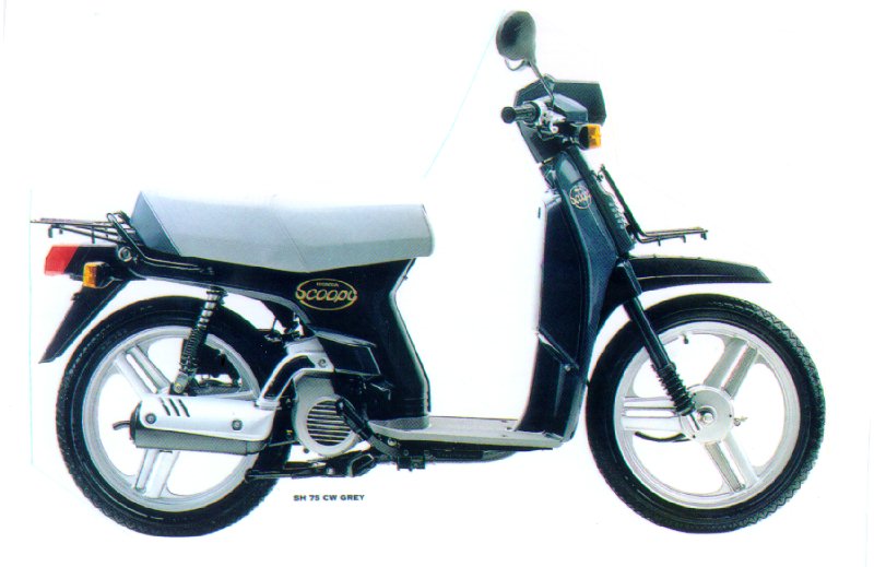 SH 75 Scoopy DS