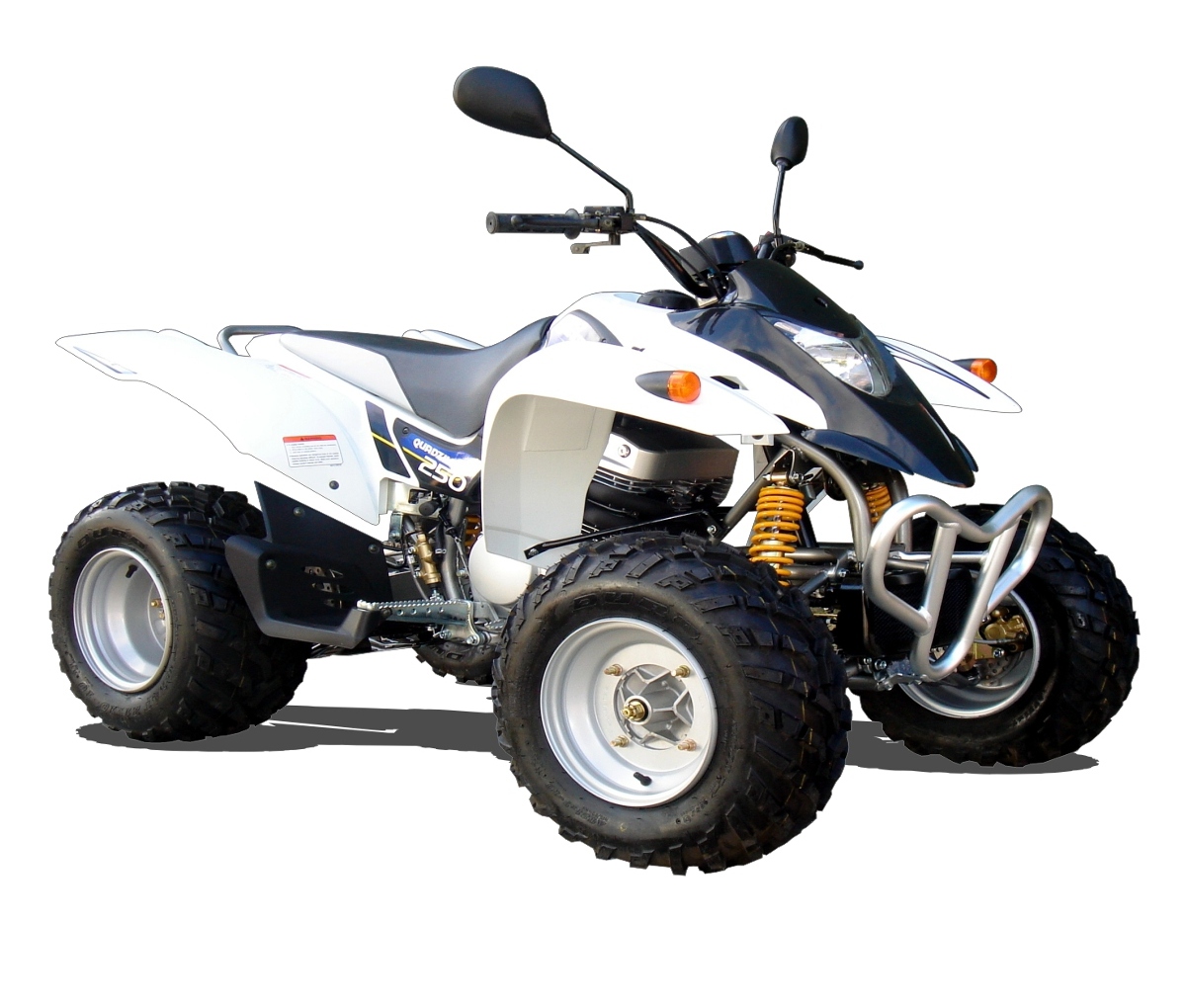 Ram R250E Stinger (250cc/Drum Brakes Version)